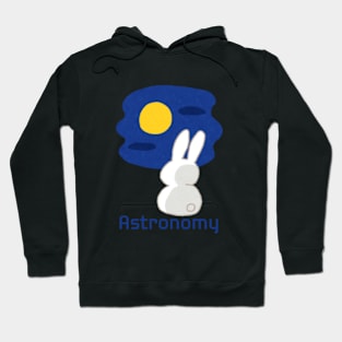 ASTRONOMY, Chasing stars, ASTROBIOLOGY,  april 8th 2024. Hoodie